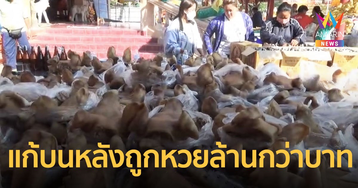 แม่ค้าอาหารตามสั่งหอบหัวหมู100หัว เหล้า100ขวดแก้บนหลังถูกหวยล้านกว่า