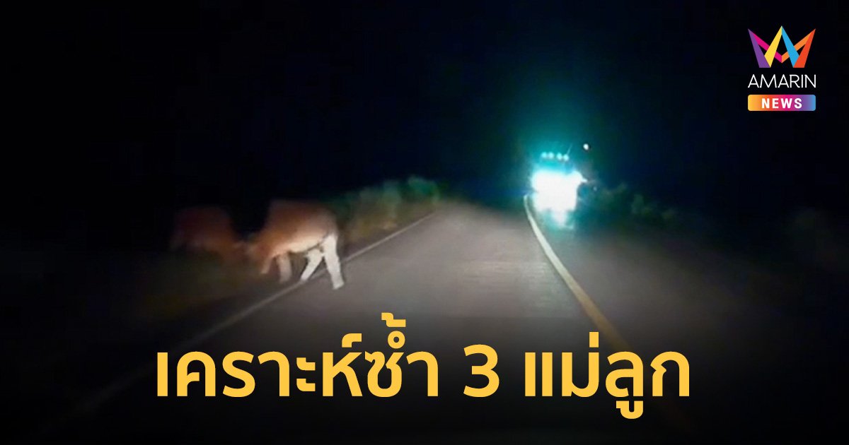 3 แม่ลูกขับรถชนวัว 18 ล้อเหยียบซ้ำ ลูก 9 ขวบดับ-แม่พิการ ไร้ใครสนใจ