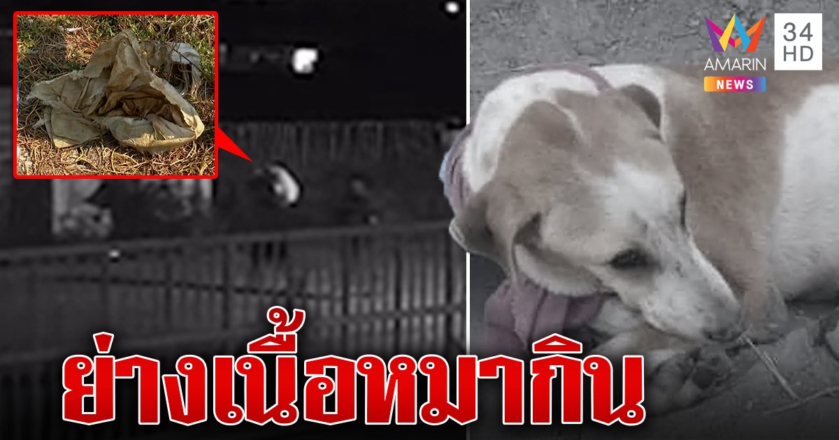 บาดใจคนรักสัตว์ ฆ่าหมาพิการแล้วแร่เนื้อกิน อึ้งคลิปมัดต่างด้าวย่องอุ้ม (คลิป)