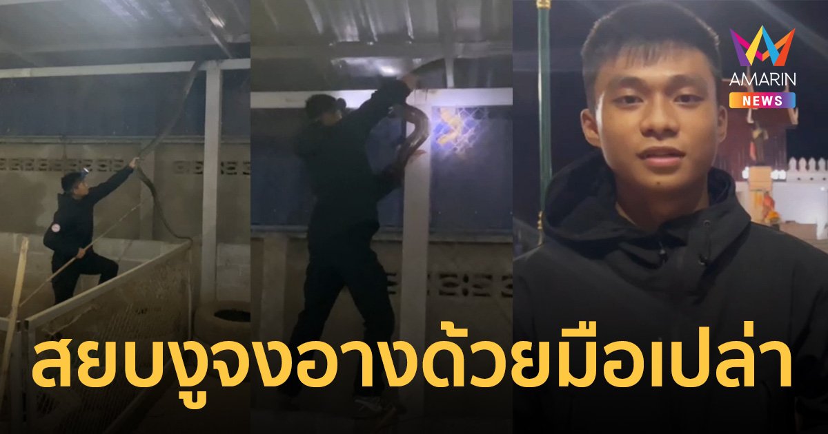งูเข้าบ้าน "จงอาง" ยาว 4 เมตร ทึ่ง! หนุ่มกู้ภัยสยบด้วยมือเปล่า