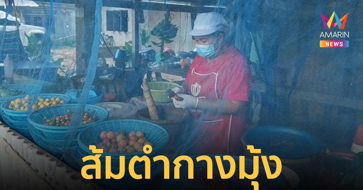 ไอเดียบรรเจิด! ร้านส้มตำกางมุ้ง หมดปัญหาแมลงวันกวนใจ