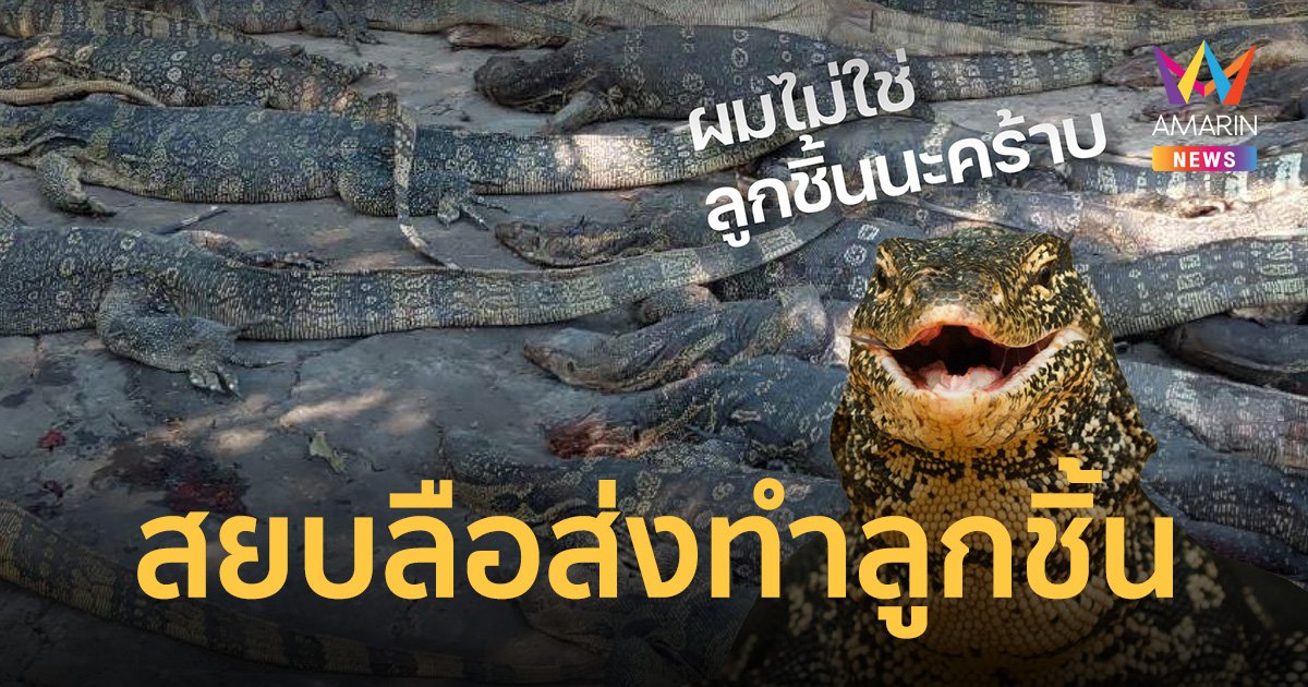 บุกทลายโรงชำแหละตัวเงินตัวทอง ส่งร้านอาหารป่า ไม่ใช่โรงงานลูกชิ้น