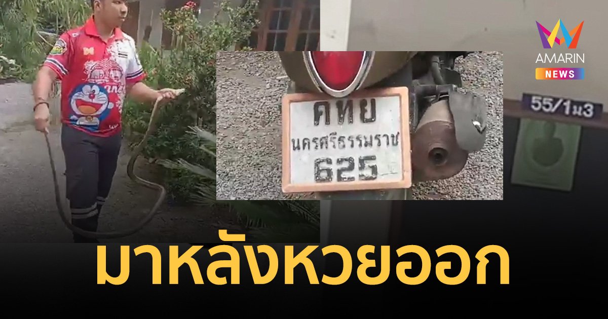 ทำไมมาช้า! งูเข้าบ้านหลังหวยออก ตรงเผง! เลขที่บ้าน-ทะเบียนรถ