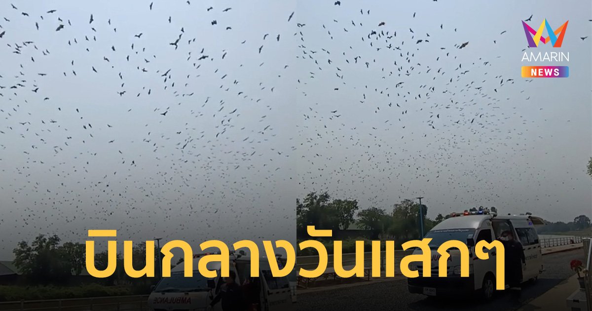 สุดอัศจรรย์! รถพยาบาลมารับผู้ป่วยติดเตียง ฝูงค้างคาวนับร้อยบินบนฟ้ากลางวันแสกๆ