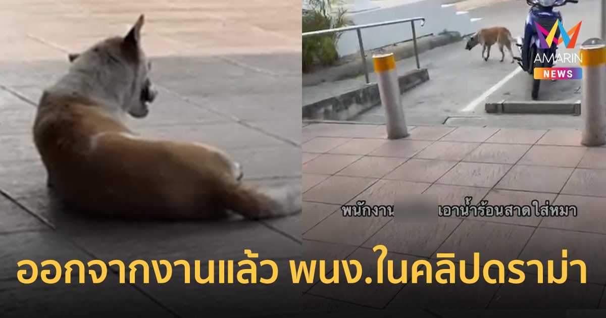 ออกจากงานแล้ว พนง.ร้านสะดวกซื้อสาดน้ำไล่หมา พยานเล่าอีกมุม เรื่องส่อพลิก?