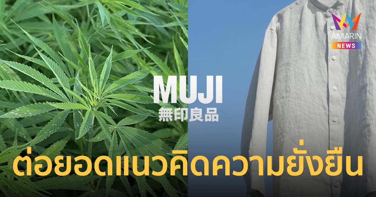MUJI ต่อยอดแนวคิดความยั่งยืน สู่สินค้าแฟชั่นชูวัสดุเส้นใยกัญชงสำหรับเสื้อผ้า