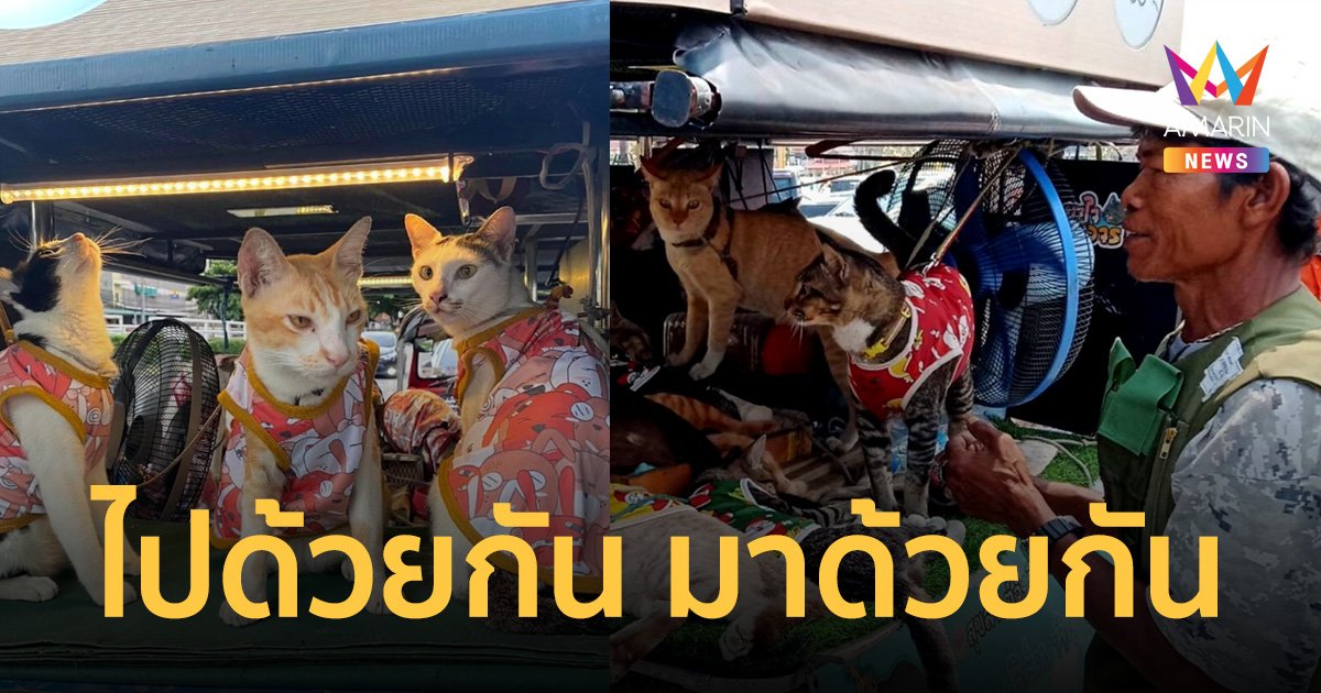 เปิดใจ ลุงขี่รถพ่วงพา "แมว 11 ตัว" จากกทม. มาขายของที่งาน ย่าโม