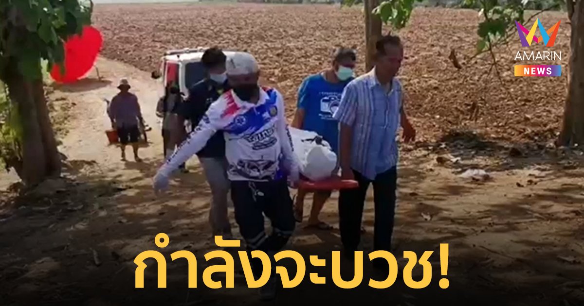ไม่ทันได้บวช! หนุ่มใหญ่เตรียมบวชพระ ดับสลดกลางไร่อ้อย