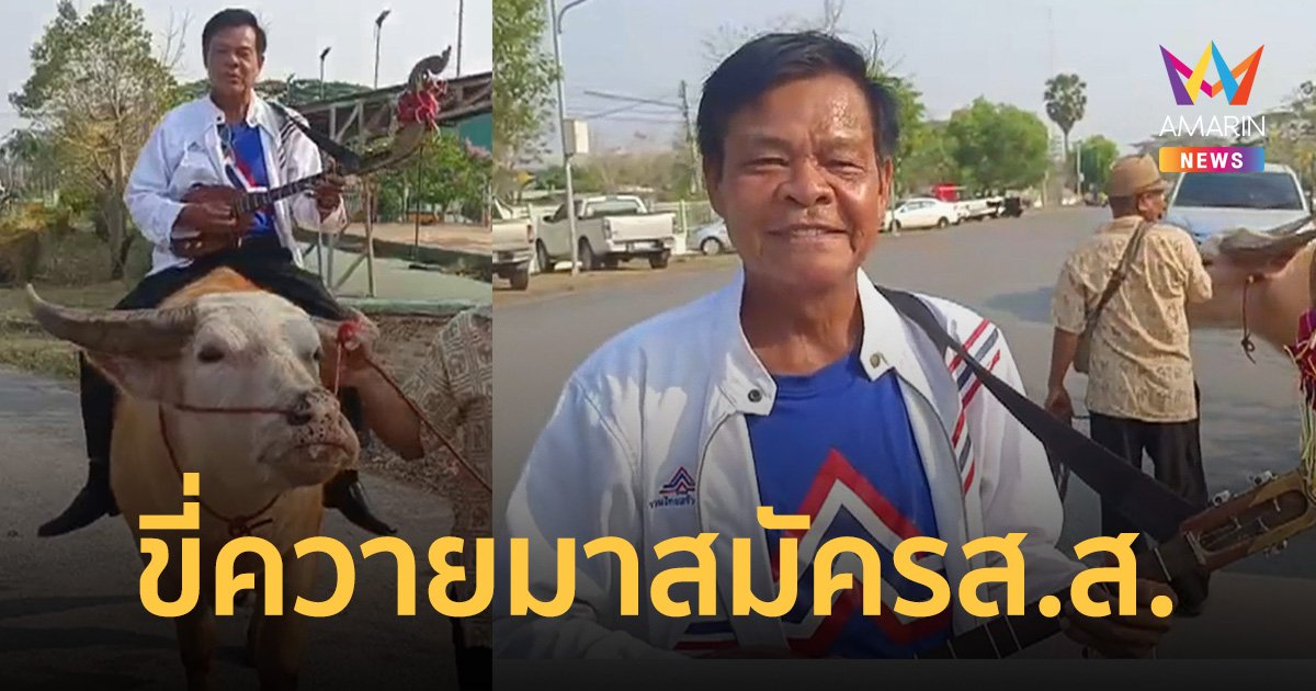 ฮือฮา! ผู้สมัครจาก "รวมไทยสร้างชาติ" ขี่ควายมาสมัคร ส.ส.ชัยภูมิ