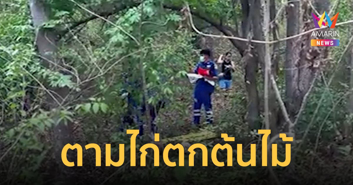ช่วยเหลือหนุ่มตกต้นไม้สูง 4 เมตร หลังปีนส่องหาไก่
