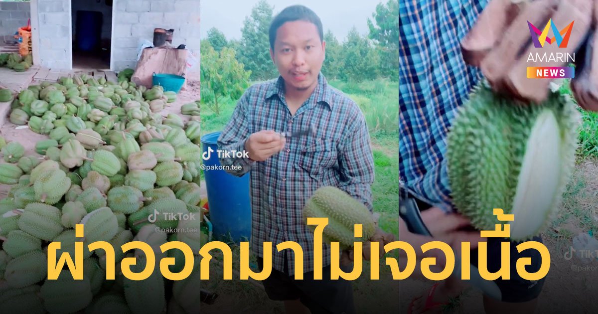ชาวสวนขอคำแนะนำ สุดงง! ปลูกทุเรียนมา 4 ปี ลูกดกเต็มต้น แต่ผ่าออกมาไม่เจอเนื้อ