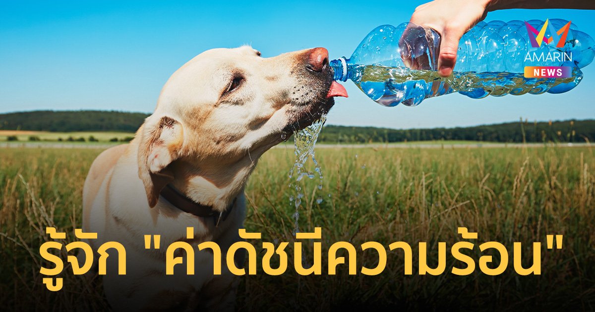 รู้จัก "ค่าดัชนีความร้อน" หลังชาวเมืองฟ้าแตกตื่น บางนา 50.2 องศาฯ
