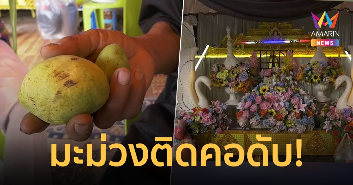 ช่วยไว้ไม่ทัน! มะม่วงสุกติดคอยายวัย 77 ปี ดิ้นพล่านดับคามือหมอ