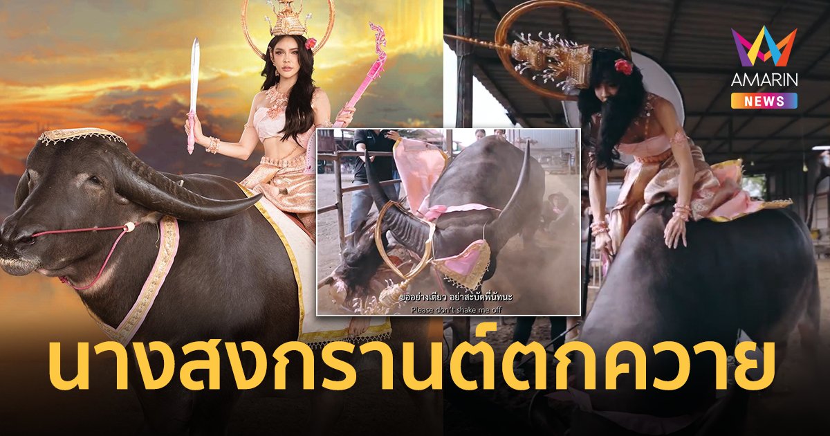 นาทีชีวิต !"นัท นิสามณี" โดนควายสะบัด ขณะขี่หลังถ่าย "นางสงกรานต์"