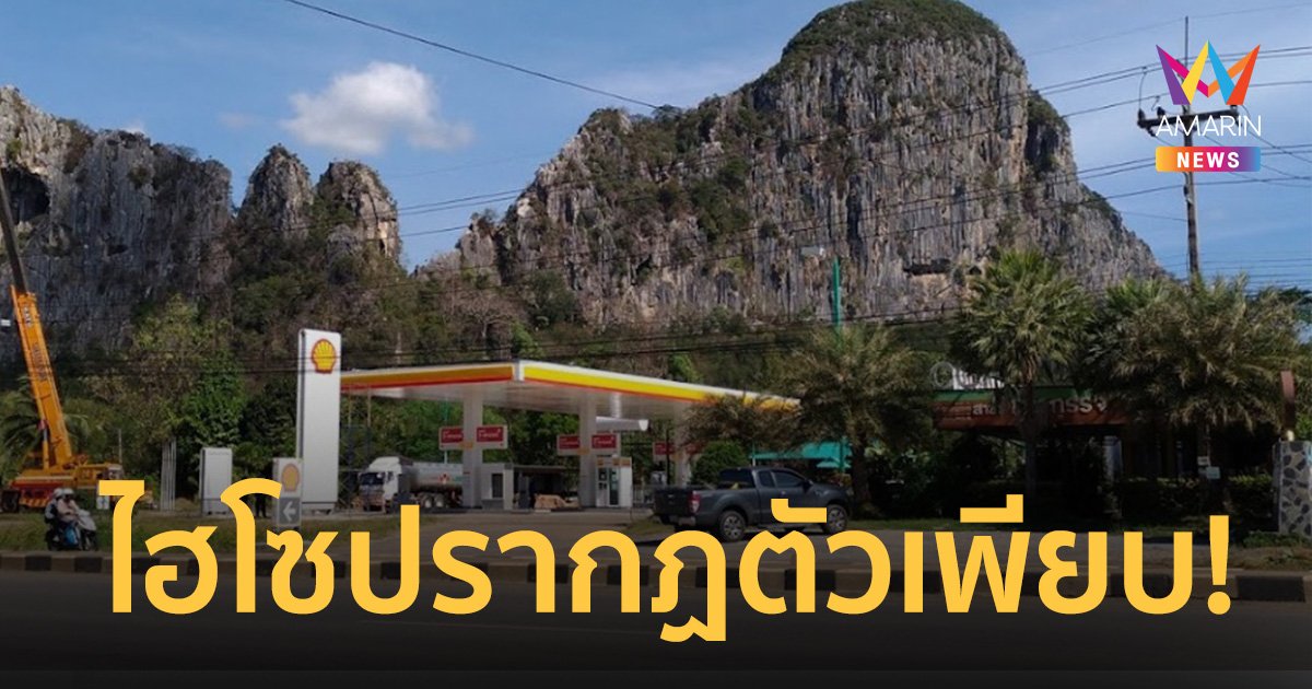 แชร์เพียบ! ปั๊มน้ำมัน ขาย 42 ล้าน แถมร้านกาแฟ วิวดีมีค้างคาวบินโชว์