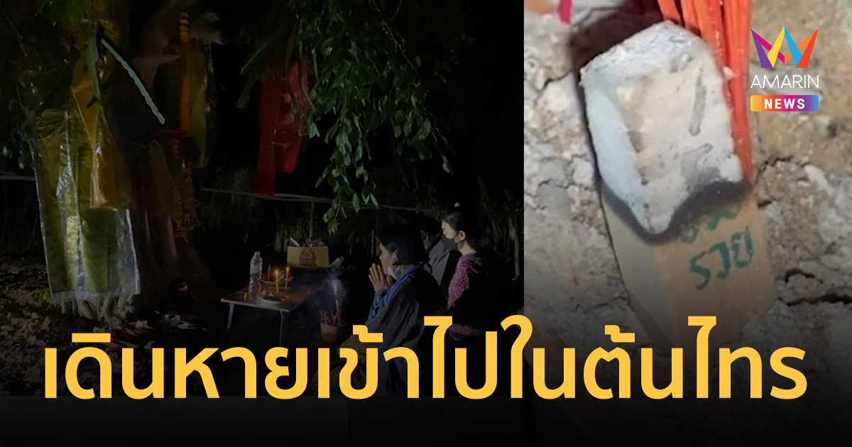 เลขเด็ด ชัด! แห่ขอโชคต้นไทร "เนียงเทวา" ชาวบ้านเผยประวัติลี้ลับศักดิ์สิทธิ์
