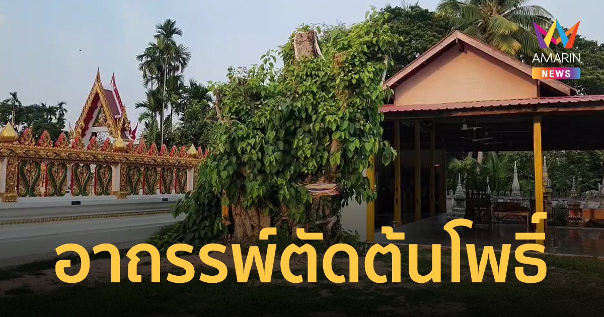 อาถรรพ์ต้นโพธิ์อายุกว่า 100 ปี โดนตัดกิ่ง ผ่านไป 2 เดือน คนในหมู่บ้านตาย 12 คน
