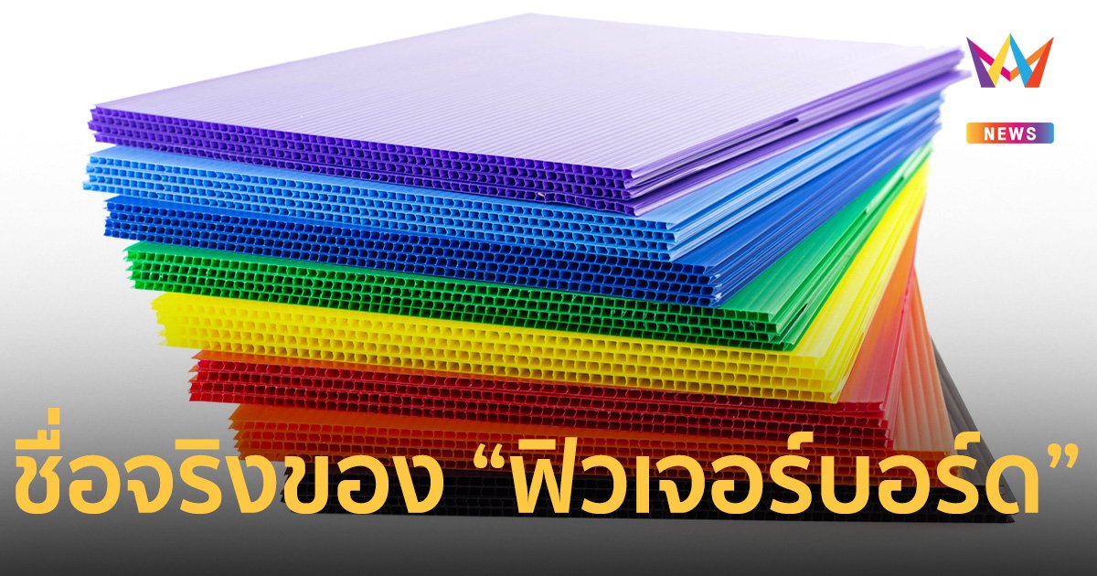 เรียกผิดมาตลอด! ฟิวเจอร์บอร์ด จริงๆ  แล้วมีชื่อเรียกว่า พลาสติกลูกฟูก