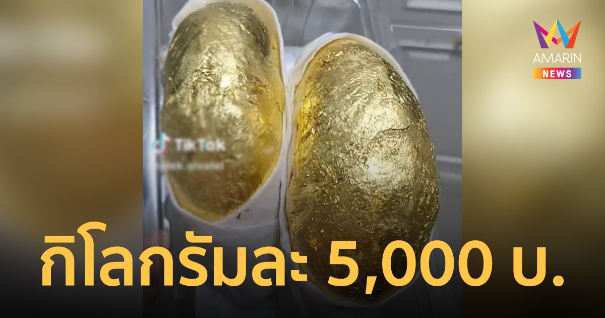 ทุเรียนทองของแท้! ทองคำบริสุทธิ์สนนราคากิโลกรัมละ 5,000 บาท