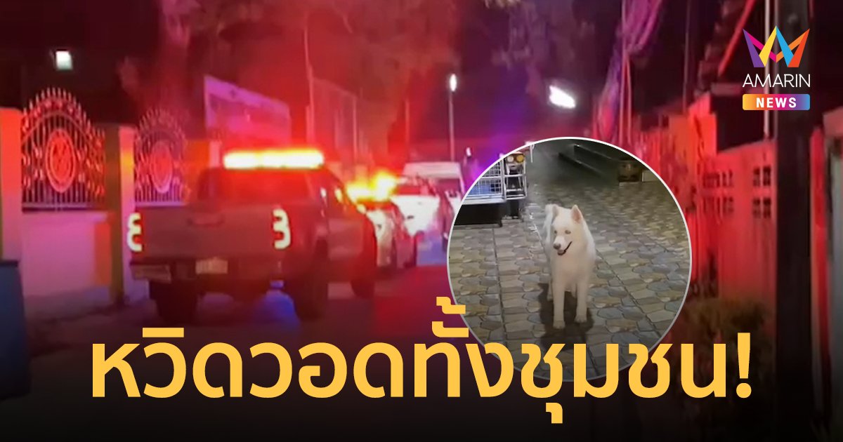 น้องหมาแสนรู้! เห่าปลุกเจ้าของเตือนไฟไหม้ หวิดวอดทั้งชุมชน
