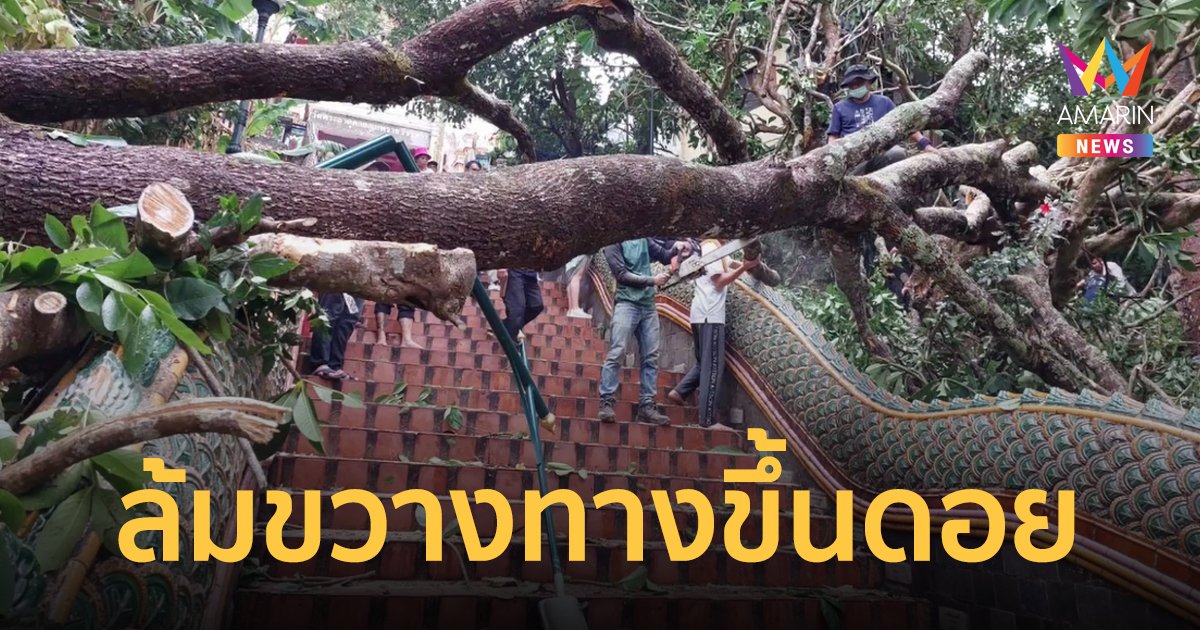 พายุฤดูร้อนพัดถล่มตัวเมืองเชียงใหม่ ต้นไม้อายุกว่า 100 ปี ล้มพาดบันไดทางขึ้นวัดดอยสุเทพ