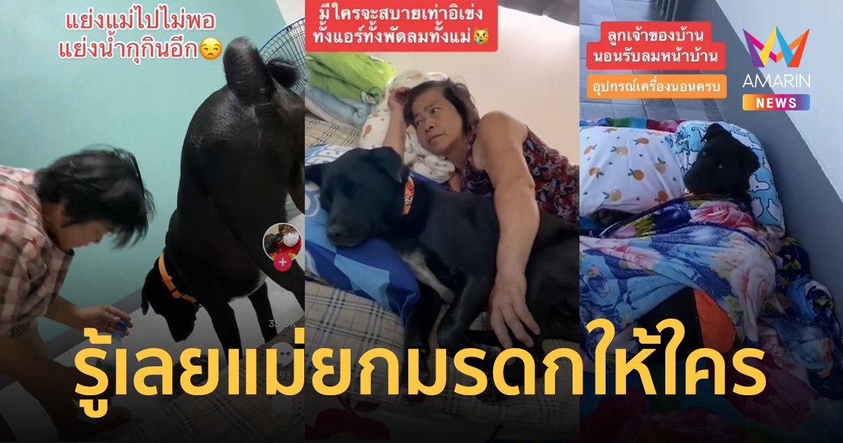 สาวเอะใจ หรือแม่เก็บเรามาเลี้ยง สองมาตรฐานปฏิบัติกับ ลูก Vs ลูกรัก
