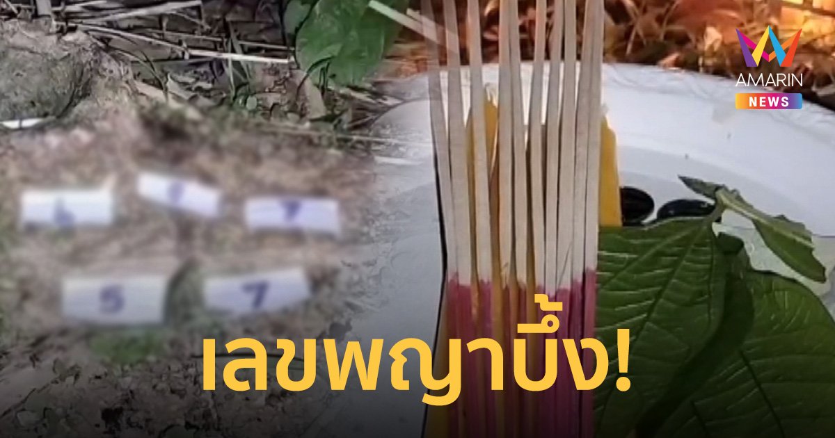 มาแล้ว! เลขเด็ดพญาบึ้ง ชาวบ้านลุ้นกลางดึกถึง 2 ครั้ง 2 คืน หลังให้โชค 2 งวด