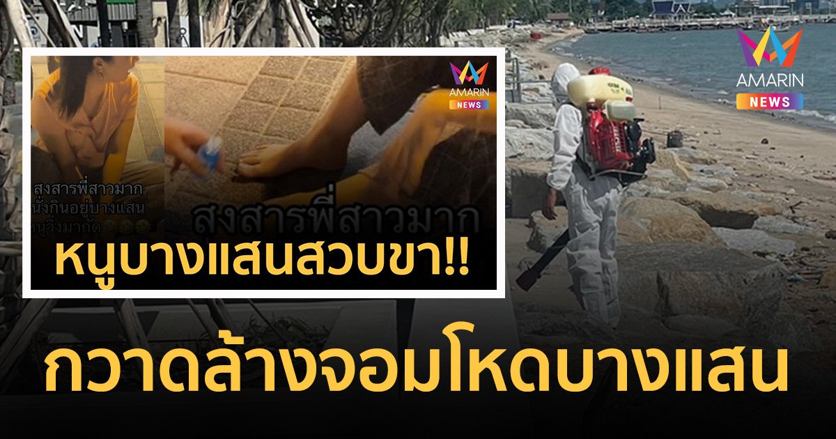 เทศบาลลุยปราบ "หนูบางแสน" หลังคลิปโหดว่อน กัดเท้านทท.เลือดสาด!