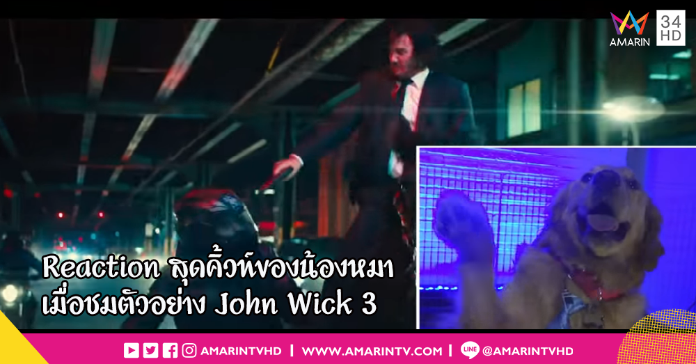 ปฏิกิริยาของบรรดาน้องหมาเมื่อได้ดูตัวอย่างหนัง John Wick: Chapter 3 – Parabellum