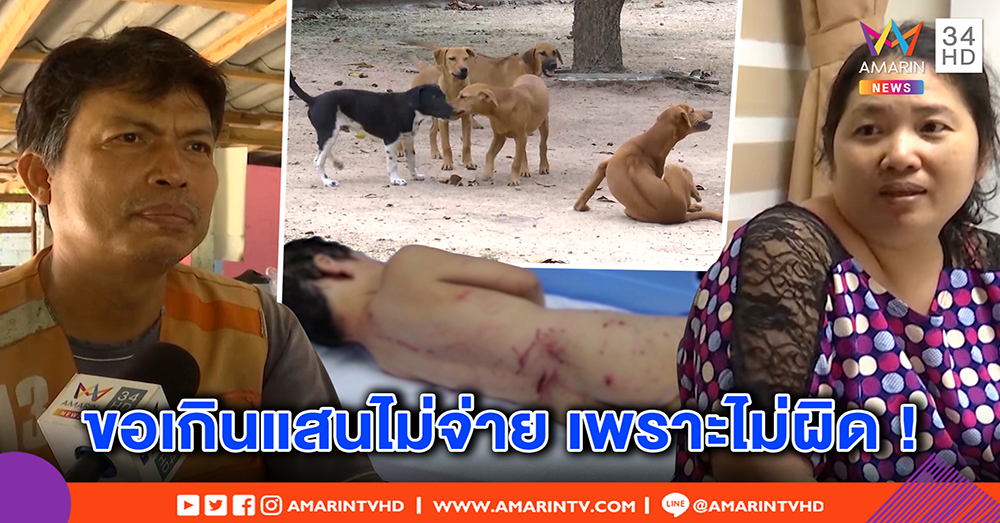 เจ้าของหมารุมขย้ำเด็ก โต้ไม่ผิด ฉะแม่ปล่อยลูกมาวิ่งในบ้านเอง จ่ายแค่ 1 แสนพอแล้ว (คลิป)