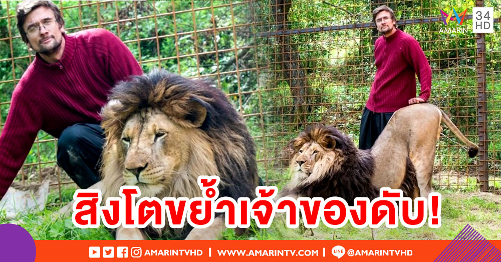 หนุ่มเช็กถูกสิงโตที่เลี้ยงไว้ ขย้ำดับคากรง