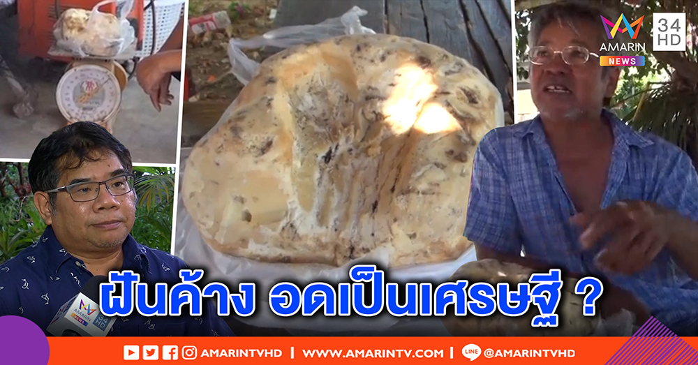 เจออีกคนเก็บ “อ้วกวาฬ” แต่หมดสิทธิ์รวย – กูรูชี้เมืองไทยไม่มีบริษัทรับซื้อ (คลิป)