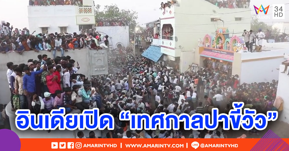 นักท่องเที่ยวแห่ร่วมเทศกาล 'ปาขี้วัว' ในอินเดีย เชื่อช่วยให้เจริญก้าวหน้า