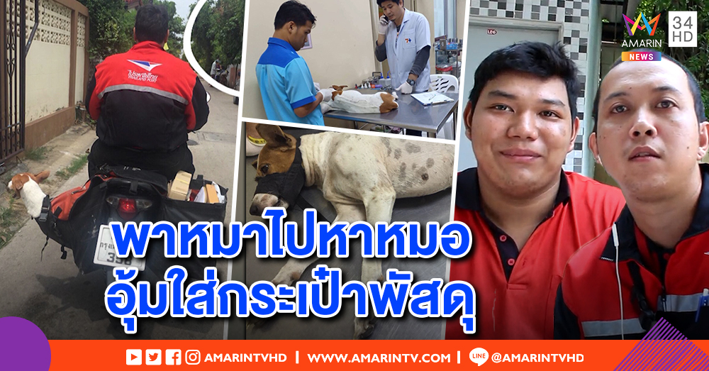 เปิดใจ 2 บุรุษไปรษณีย์ฮีโร่! ช่วย "เจ้าทอง" สุนัขถูกรถชน เปิดบัญชีระดมทุนช่วยมอบเจ้าของ