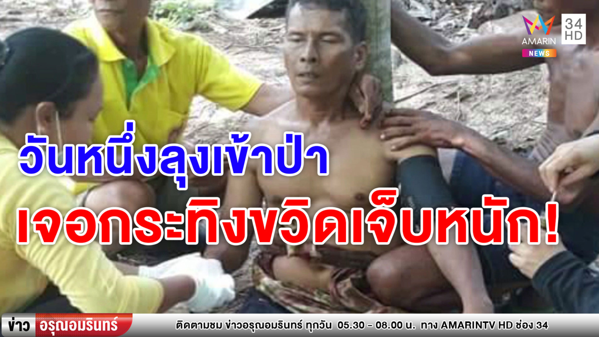 ลุงเข้าป่าเก็บดอกกระเจียว เจอกระทิงขวิดเจ็บหนัก ต้องแกล้งตายจึงรอด (คลิป)