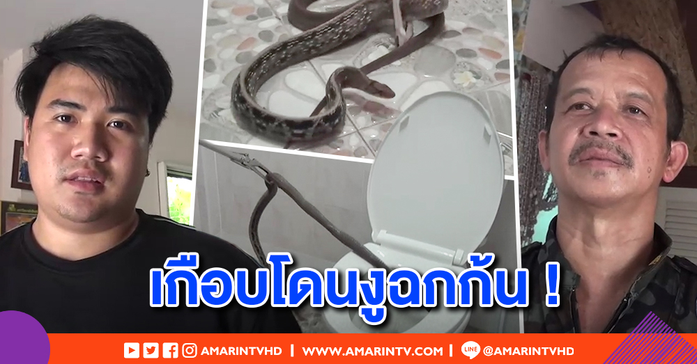 หนุ่มเข้าห้องน้ำปลดทุกข์ สะดุ้งเจองูโผล่หัวในโถส้วม แจ้งกู้ภัยจับ โล่งเกือบโดนฉกก้น