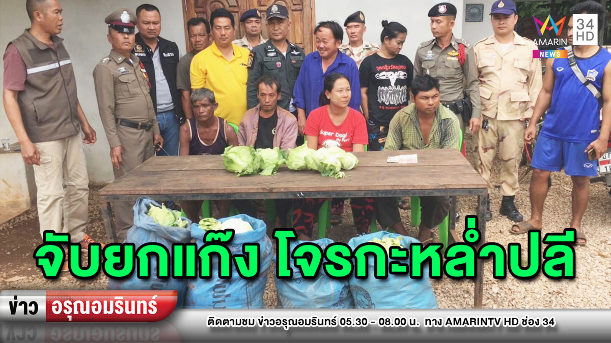 ข่าวอรุณอมรินทร์ : จับแก๊ง 4 โจรเมียนมา ขโมยกะหล่ำปลีในสวนชาวบ้าน หลังราคาพุ่ง