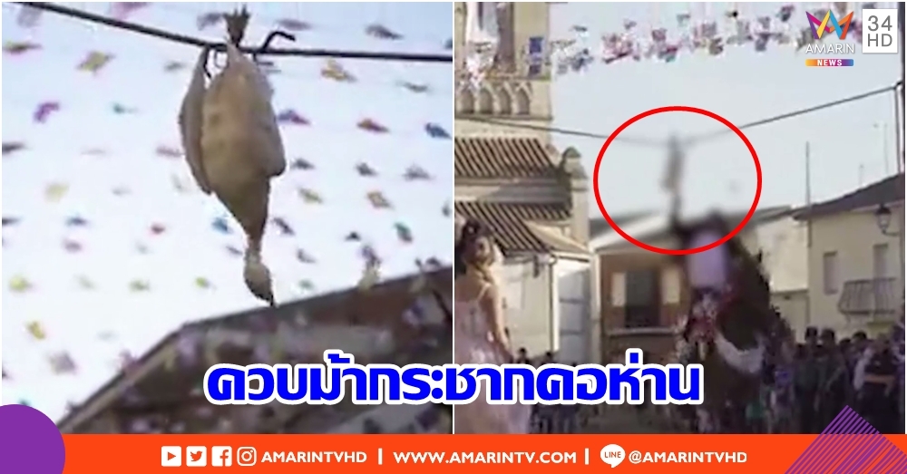 สุดโหด!! สเปนจัดประเพณีแปลก ควบม้ากระชากคอห่าน