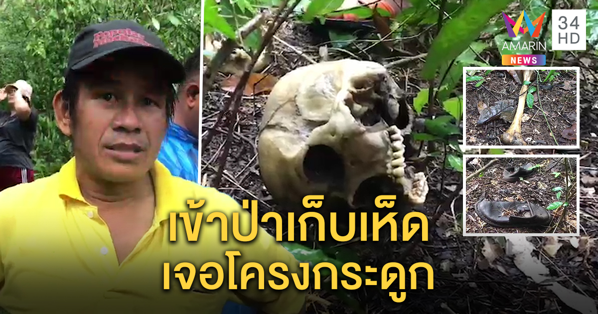 หนุ่มเก็บเห็ดวิ่งป่าราบ! เจอโครงกระดูกมนุษย์ตีนเขาฉลาก ตร.คาดศพ รปภ. ตาย 1 ปี