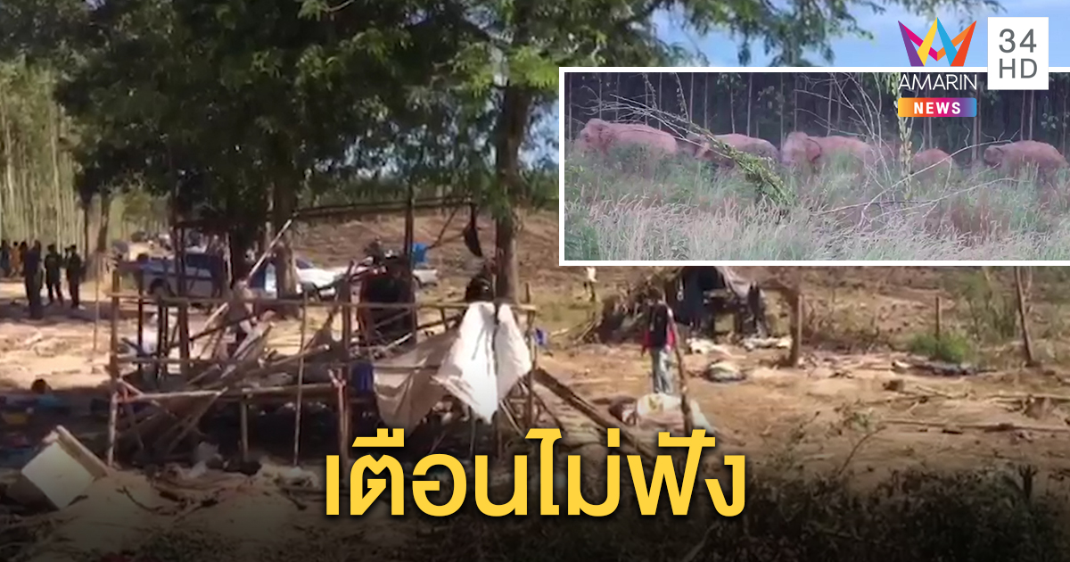 เตือนแล้วไม่เชื่อ คนงานเขมรตั้งแคมป์ขวางทางช้างป่าเขาอ่างฤๅไน โดนทำร้ายดับ 1 ราย