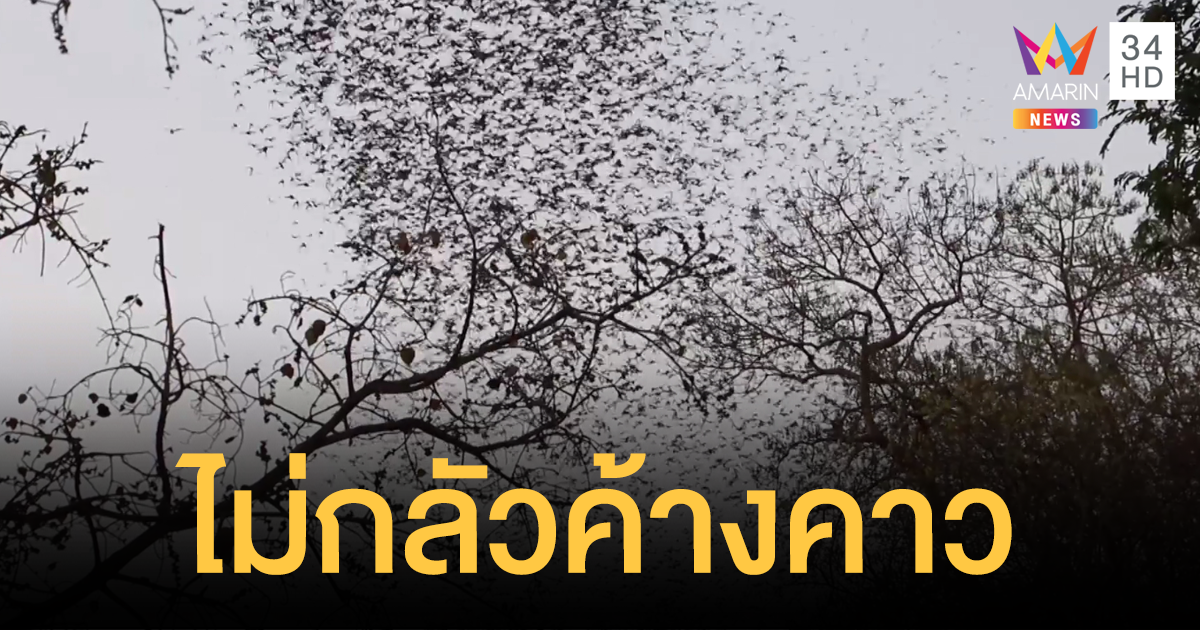 ชาวราชบุรีไม่กลัว "ไวรัสโคโรนา" แม้จะใกล้ชิดกับค้างคาว