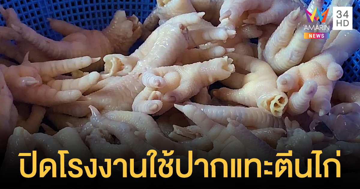 ปิดชั่วคราว! โรงงานใช้ปากแทะตีนไก่ หลังผู้ว่าฯ หนองคาย ลงพื้นที่ตรวจสอบ