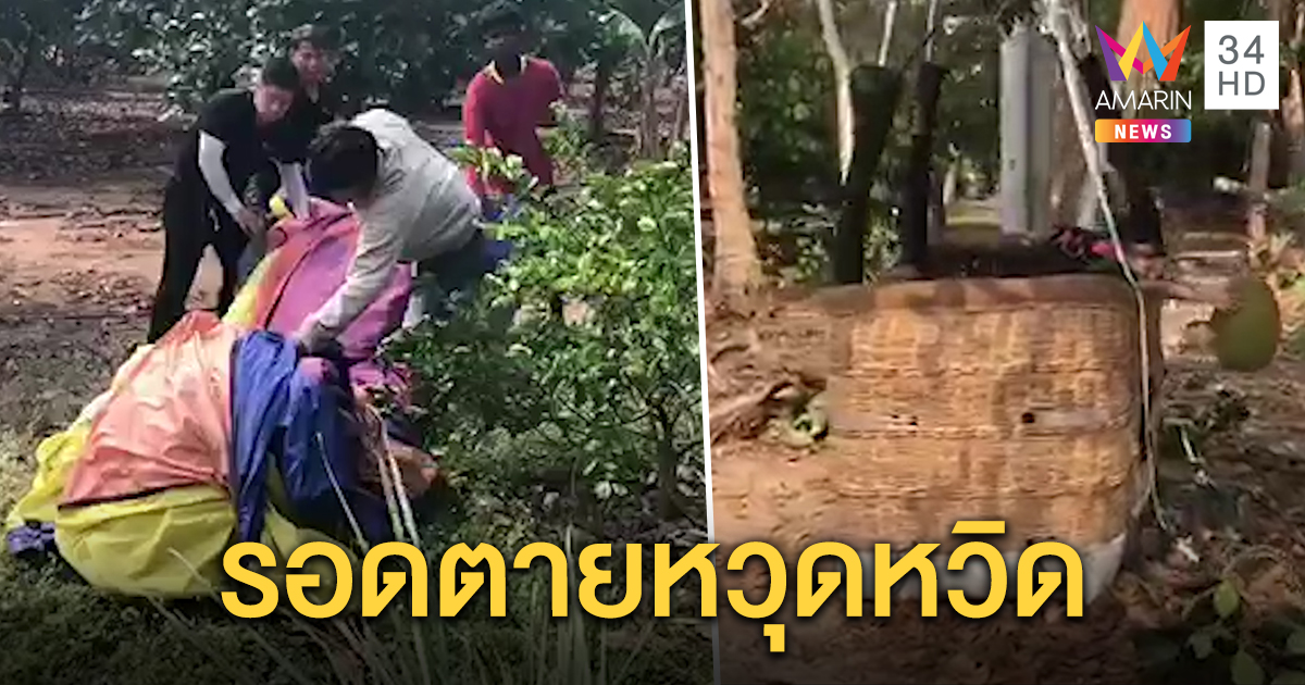 ต้นขนุนช่วยชีวิต! หนุ่มจีนขึ้นกระเช้าบอลลูน เจอลมกระโชกแรง พัดตกกลางสวนรอดตาย