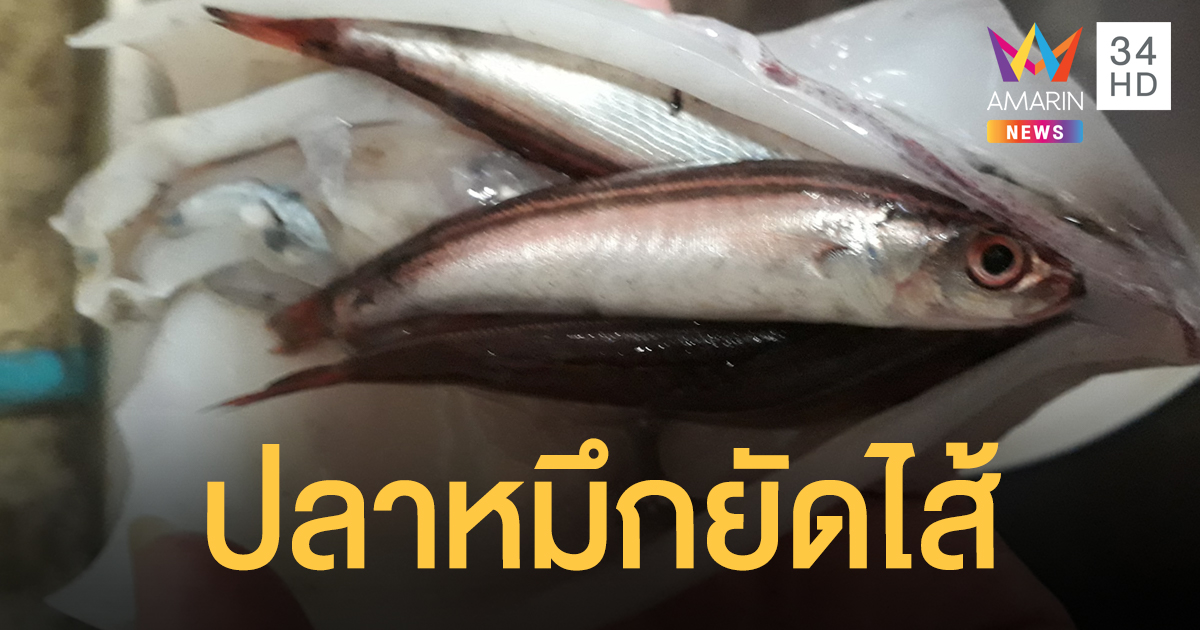 สาวเตือนเจอแม่ค้ายัดไส้ปลาหมึก ผ่ามาเจอปลาทุกตัว
