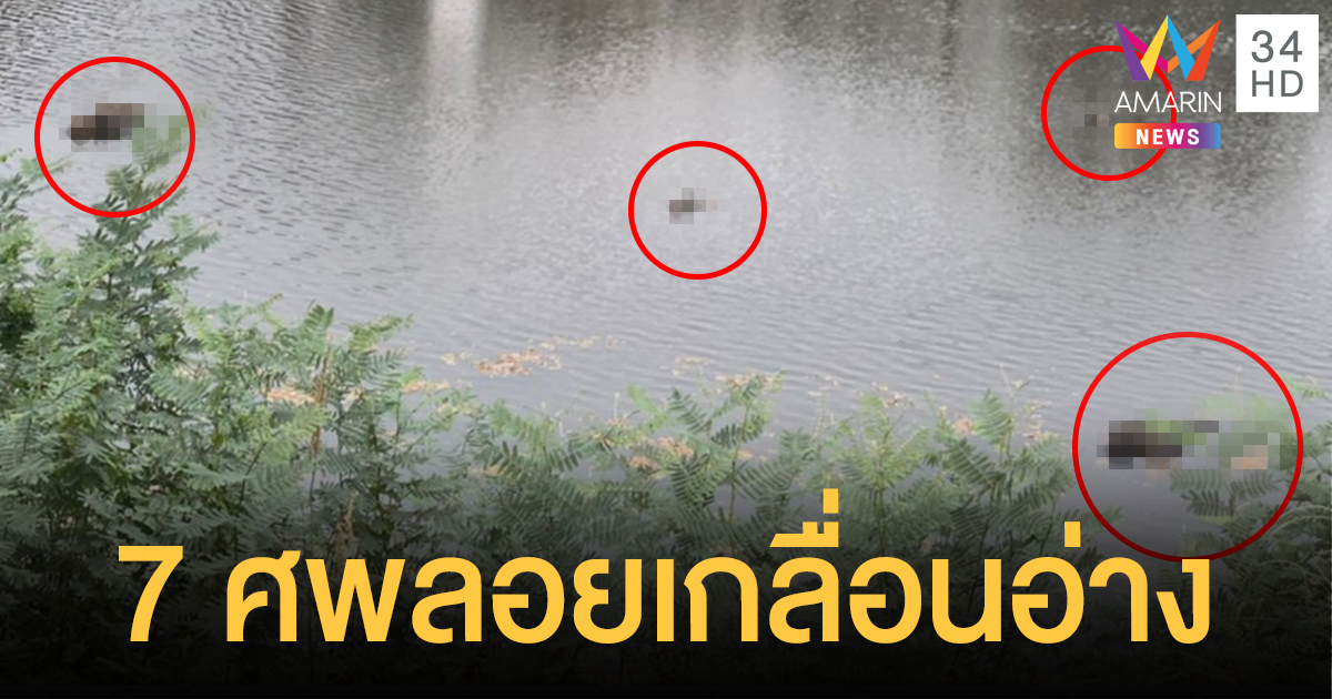 สยอง! พบ 7 ศพเกลื่อนกลางอ่างเก็บน้ำ คาดกองกำลังปะทะทหารผาเมือง