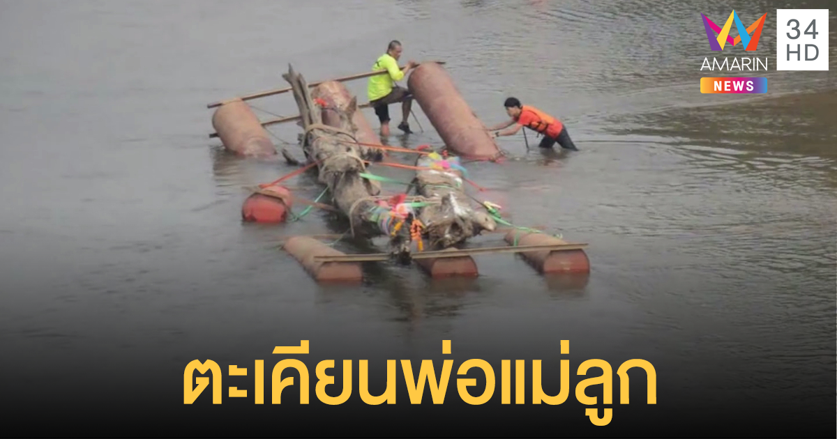 แห่ส่องเลขเด็ด "ต้นตะเคียน" โผล่กลางแม่นํ้าน่าน