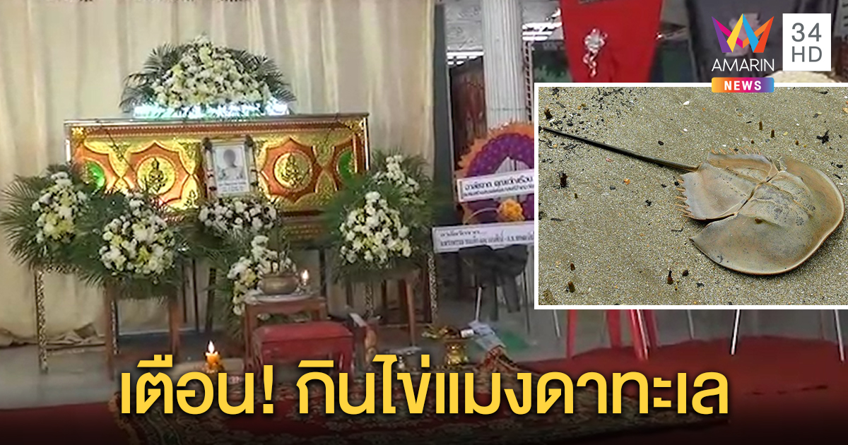 สาวใหญ่ซื้อแมงดาทะเลมากิน สุดท้ายเสียชีวิตเพราะพิษ ส่วนเพื่อนที่กินด้วยกันโคม่า