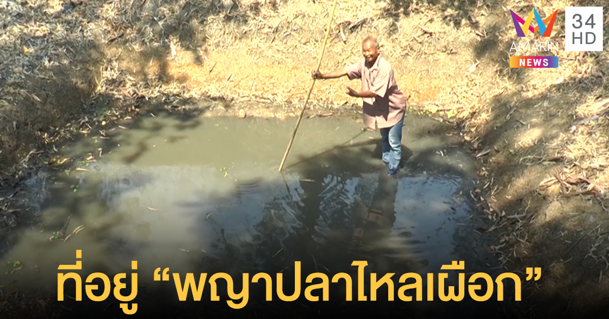 “บ่อน้ำผุด” ไม่เคยแห้ง เจ้าของเชื่อมีปลาไหลเผือกอาศัย