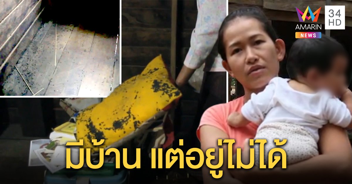 กองทัพแมลงบุกบ้าน! สาวอุ้มลูกตะลอนหนี ขอที่ซุกหัวนอนชาวบ้าน ทนทุกข์ 40 ปีไม่มีใครช่วย