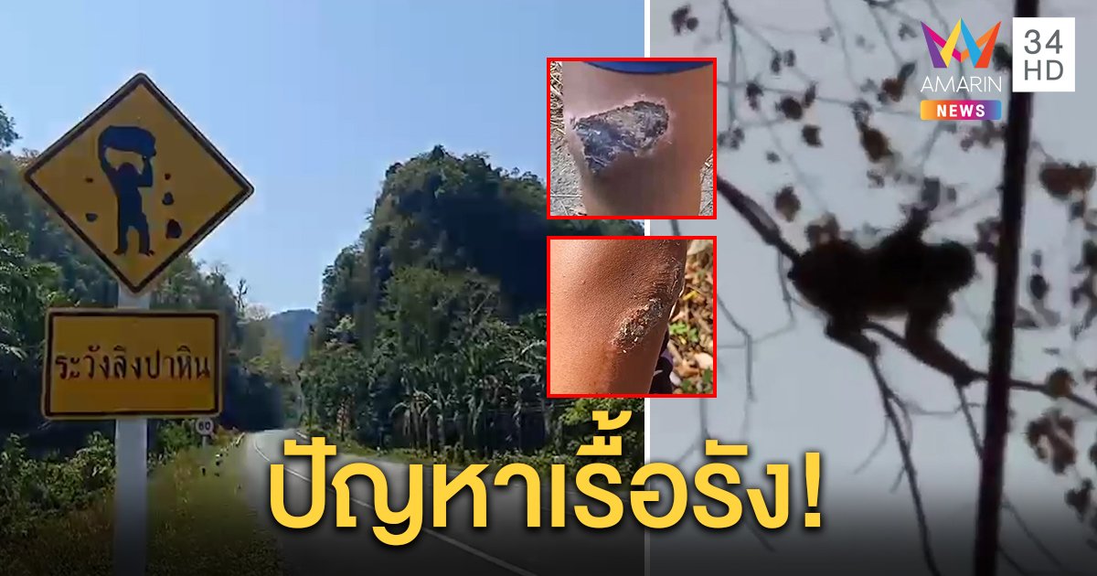 อันตราย! “ลิงช่องเขาติง” เหิมเกริมหนัก ปาหินใส่คนสัญจรผ่านจุดตัดผ่านภูเขา ทางสายหลักตรัง-สตูล